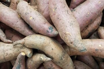 What Happens When You Start Eating Sweet Potatoes Every Day? palebluedot sweet potatoes 6938881 1280