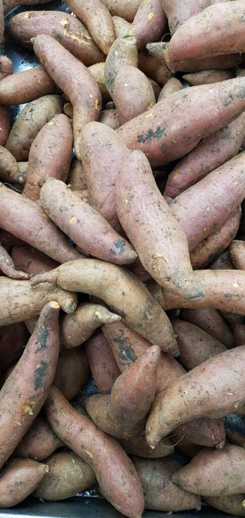 What Happens When You Start Eating Sweet Potatoes Every Day?