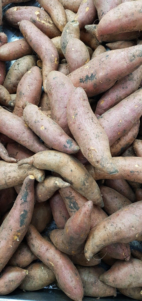 Blogs palebluedot sweet potatoes 6938881 1280